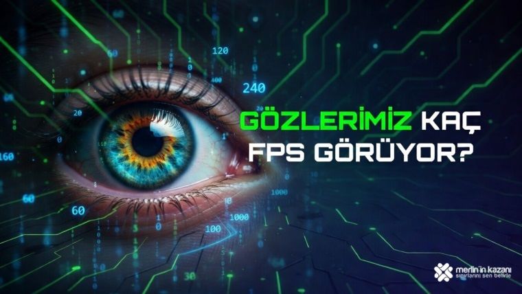 İnsan Gözü ve FPS Algısı: Sınırlarımız Neler?