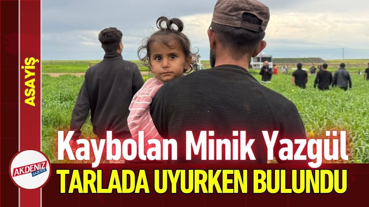 Kaybolan Minik Yazgül Tarlada Uyurken Bulundu